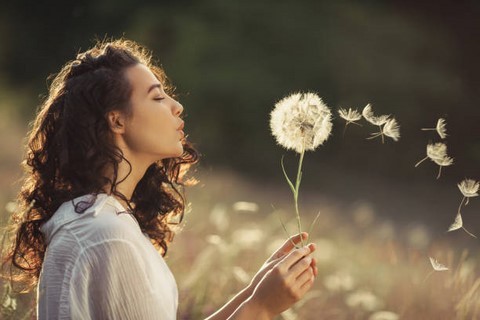 sophrologie les herbiers la sophrologie