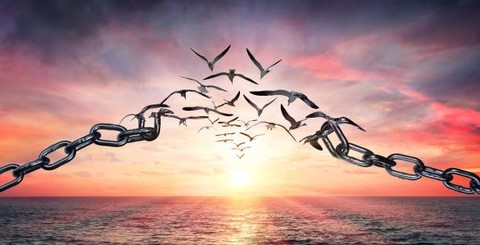 Les prises de conscience, les ressentis et la phénoménologie
